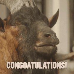 Congratulations Funny Goat Overbite GIF | GIFDB.com