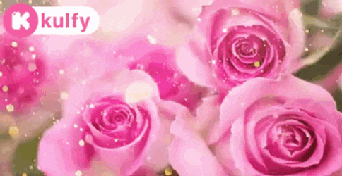 Congratulations.Gif GIF