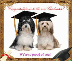 Congratulations Graduate Two Cute Dogs GIF