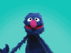 Congratulations Meme Sesame Street GIF