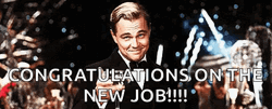 Congratulations On Your New Job Cheers GIF