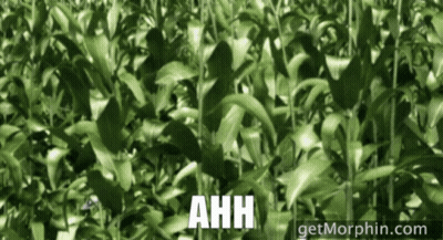 Congratulations So Happy For You From Veerle With Fireworks GIF