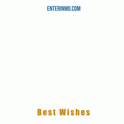 Congratulations Wedding Couple Spinning GIF