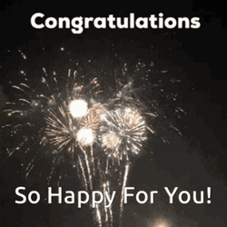 Congratulations Wedding Happy For You Firework GIF