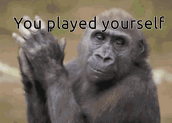 Congratulations You Played Yourself Monkey Clapping GIF