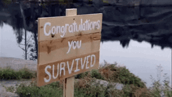 Congratulations You Survived Lake Signage GIF