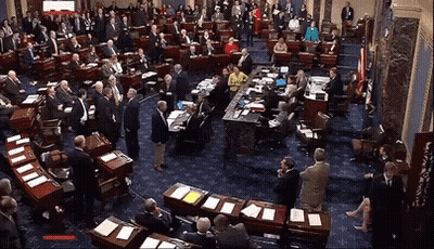 Congress Meeting GIF