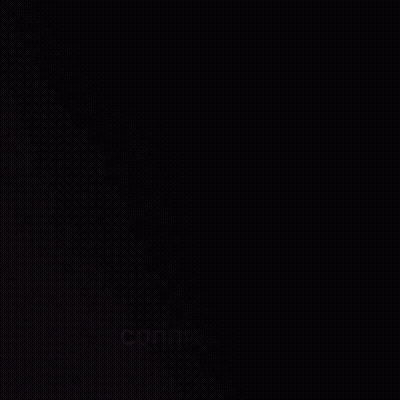 Connieslady Text GIF
