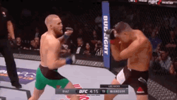 Connor Macgregor Knocks Down Nate Diaz GIF