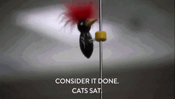 Consider It Done Workaholics GIF