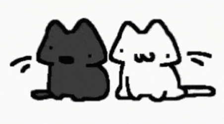 Conswayo White Cat GIF