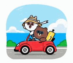 Cony And Brown Summer Travel