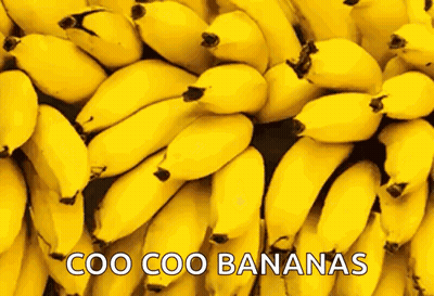 Coo Coo Bananas GIF
