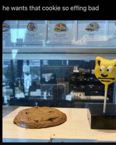 Cookie And Lollipop He Wants That Cookie So Effing Bad GIF