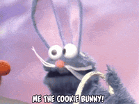 Cookie Bunny Monster