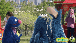 Cookie Monster Eating Pbs Kids GIF