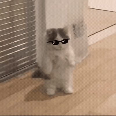 Cookie Monster Holding Food GIF