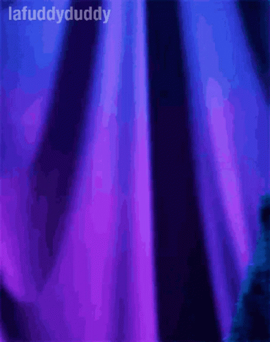 Cookie Monster Is Standing In Front Of A Purple Curtain With The Words Lafuddydaddy Above Him GIF