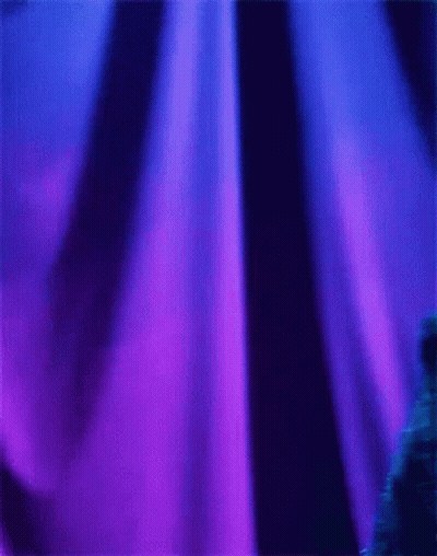 Cookie Monster Standing In Front Of Blue Curtain GIF