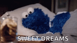 Cookie Monster Sweet Dreams