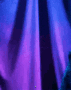 Cookie Monster Waiting GIF