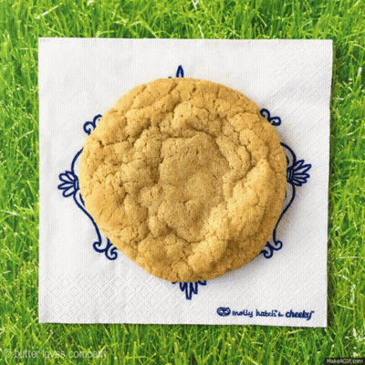 Cookie Napkin Molly Hates It Cheeky GIF