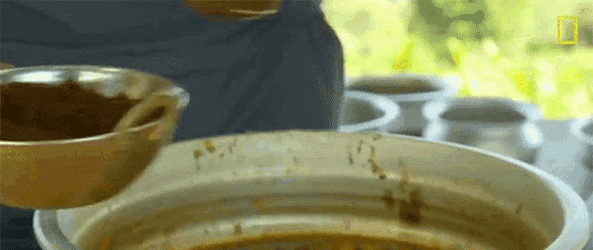 Cooking Gordon Ramsay Uncharted GIF