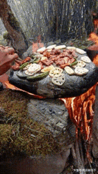 Cooking On A Rock GIF