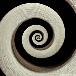 Cool 3D Black And Brown Spiral  GIF