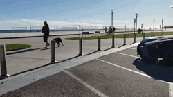 Cool Awesome Sports Car Parking GIF