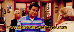 Cool Beans Ron Swanson GIF