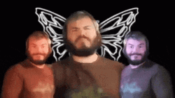 Cool Butterflies Silhouette GIF