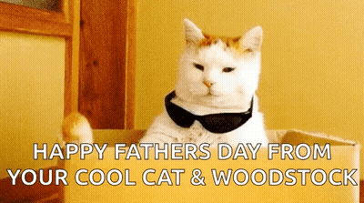 Cool Cat And Woodstock Sunglasses Bow Tie Happy Father's Day GIF