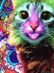 Cool Cat Enjoy Colorful Lights Stick Tongue Out  GIF