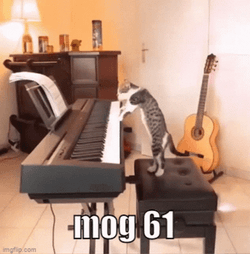 Cool Cat Playing Piano GIF