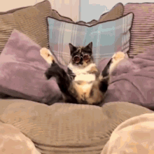 Cool Cat Sitting Couch Legs Up GIF