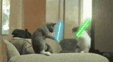 Cool Cat Star Wars Fight GIF