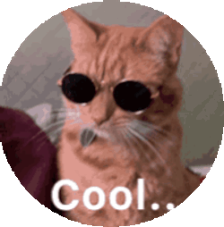 Cool Cat Sticker GIF