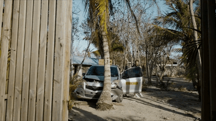 Cool Conor Mcgregor Walk GIF