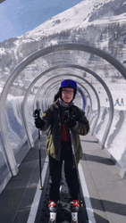 Cool Dab Skiing Winter GIF