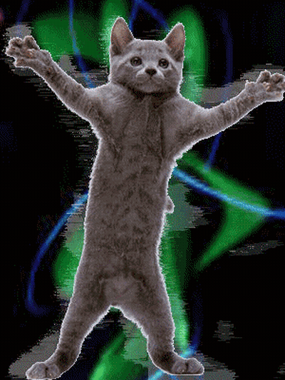 Cool Green Beans Wearing Sunglasses GIF