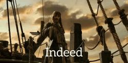 Cool Pirate Johnny Depp Indeed GIF
