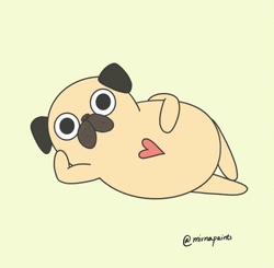 Cool Pug Winky Face  GIF