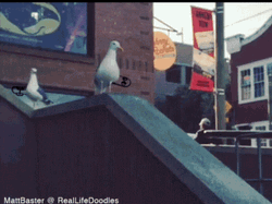 Cool Seagull Slide Skate Boarding Animation GIF