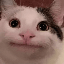 Cool Sunglasses Beluga Cat GIF