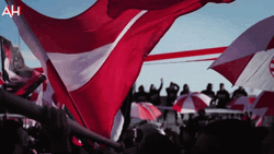 Cool Tunisia Flag Souvenirs GIF