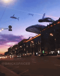 Cool Whale Sky Street GIF