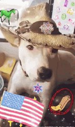 Coolio Cool Doggo GIF