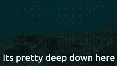 Coral Reef Saying It's Pretty Deep Down Here GIF