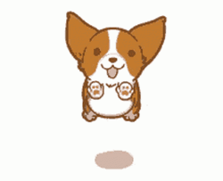 Corgi Animated Dog GIF